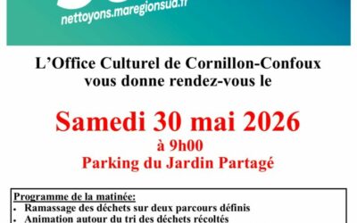 NETTOYONS LE SUD !