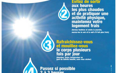 CANICULE – Conseils